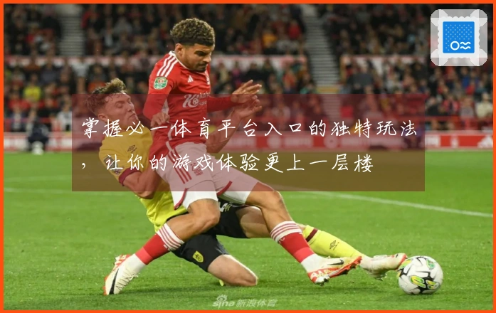 掌握必一体育平台入口的独特玩法，让你的游戏体验更上一层楼