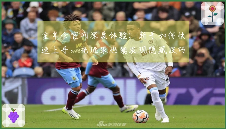 金年会官网深度体验：新手如何快速上手，老玩家也能发现隐藏技巧！